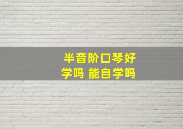 半音阶口琴好学吗 能自学吗